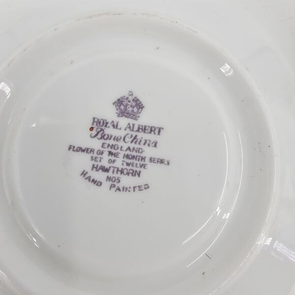 Vintage Royal Albert  Flower of the Month #5 May Hawthorn Teacup & Saucer - Picture 8 of 12